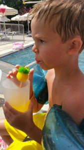 Ananas rietje